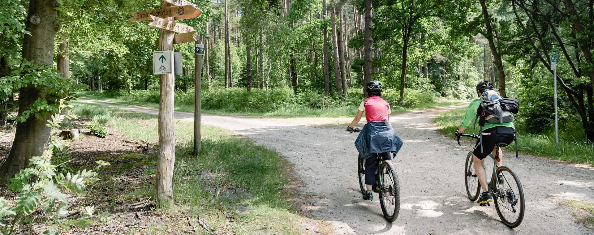 Zwei Radfahrer genießen eine Fahrt durch einen grünen Waldweg bei sonnigem Wetter.