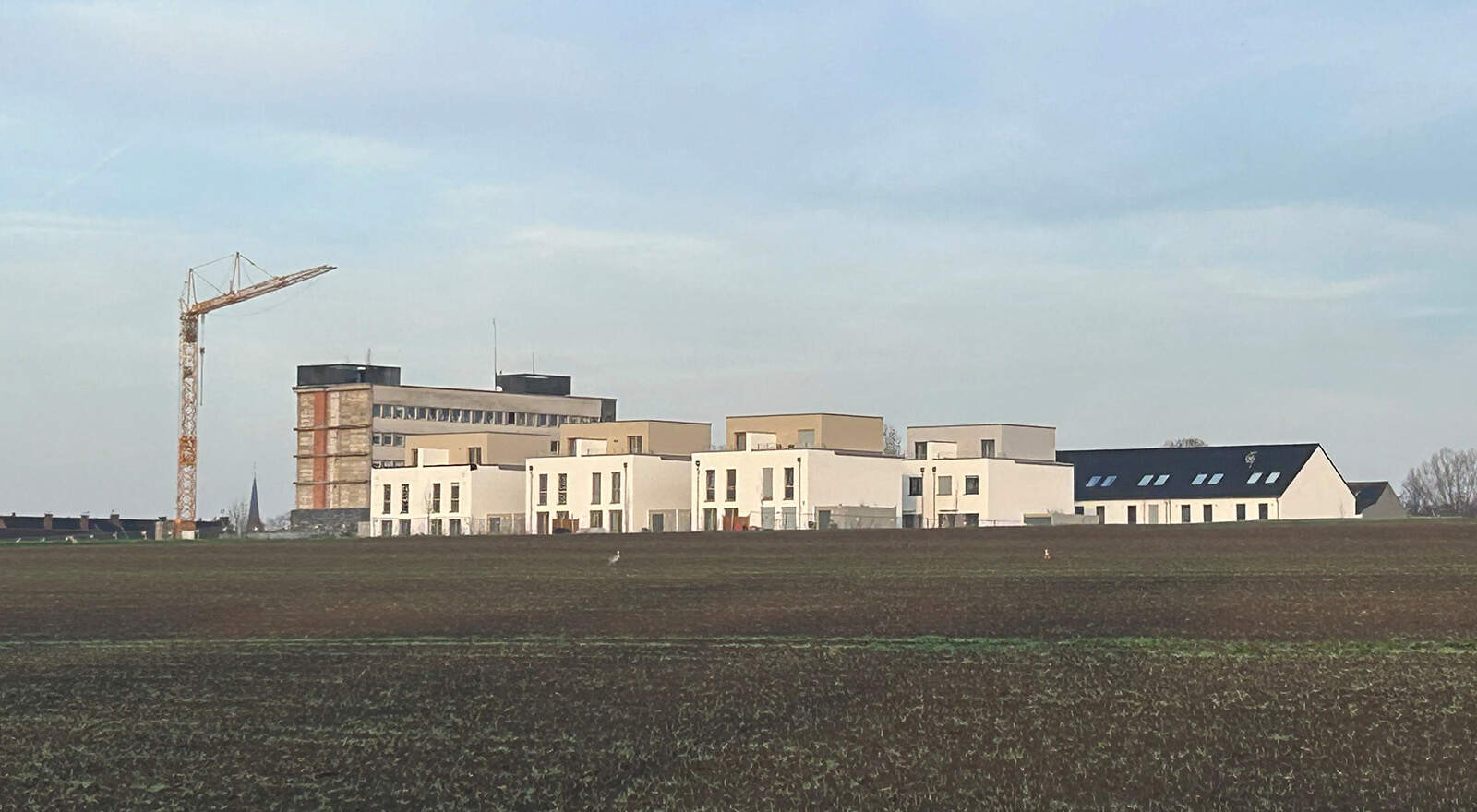 Neubauprojekt Kirschgärten